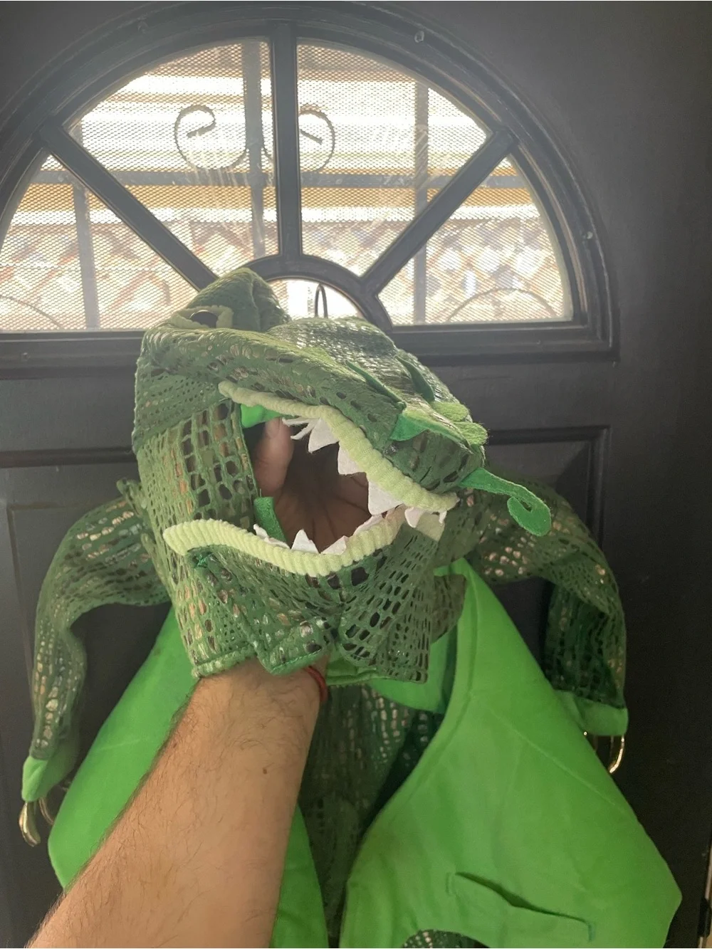 Kids Green Dragon Costume with Wings and Tail